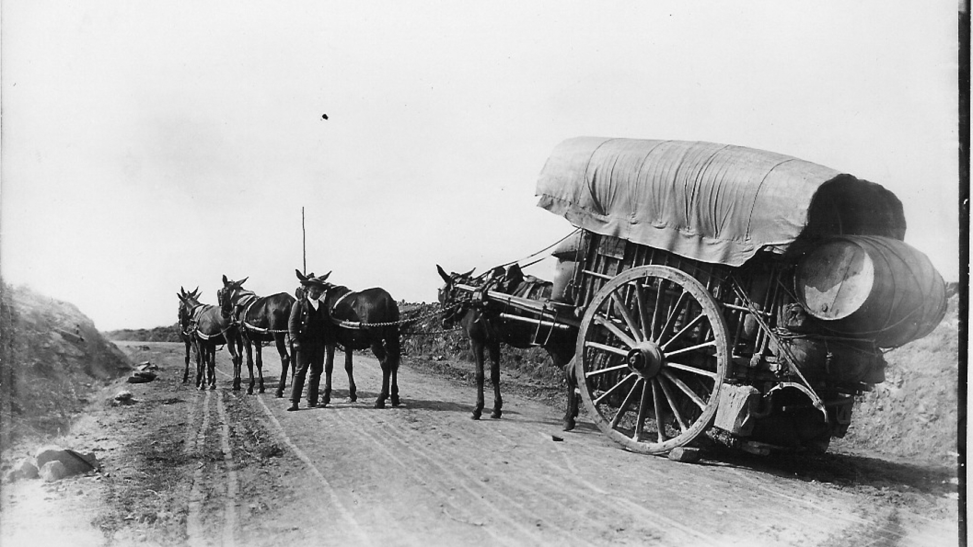 05_RP_205_PT_BPB_MNS almocreve Rebordães 1903